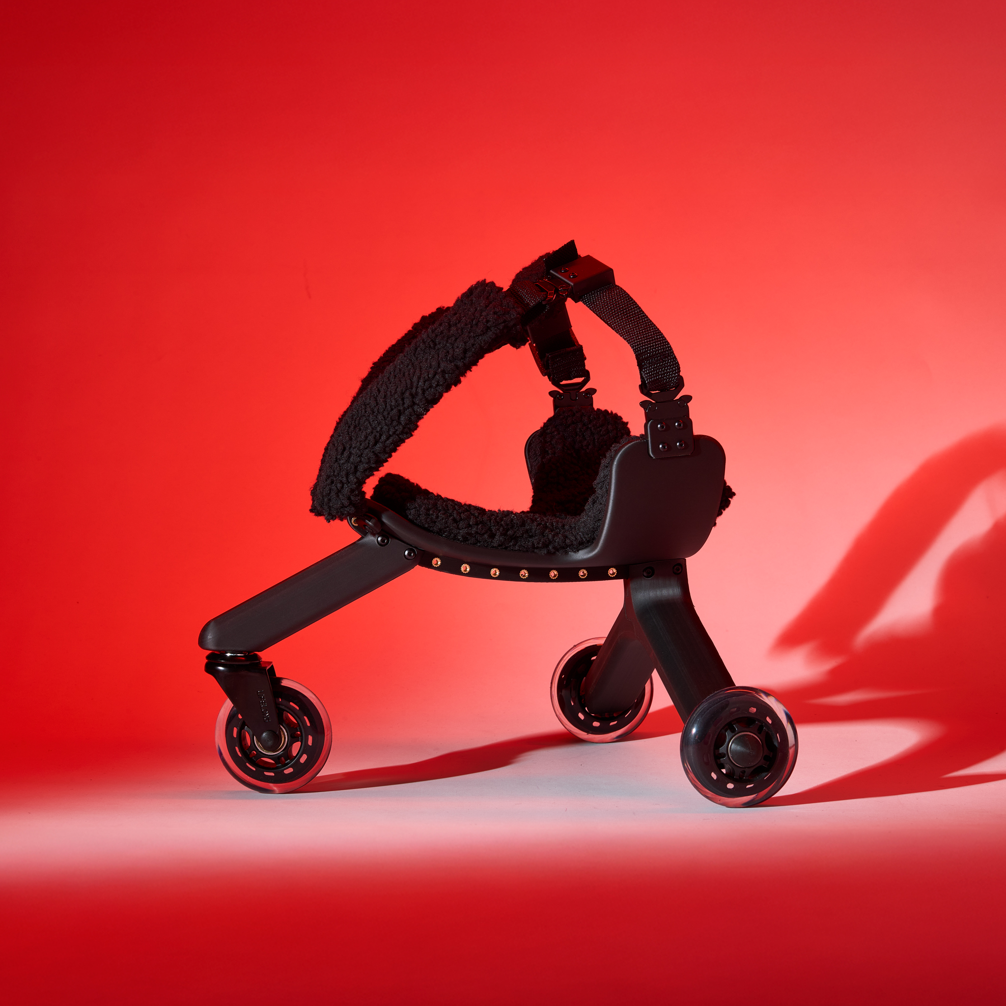 PaWheel Projekt